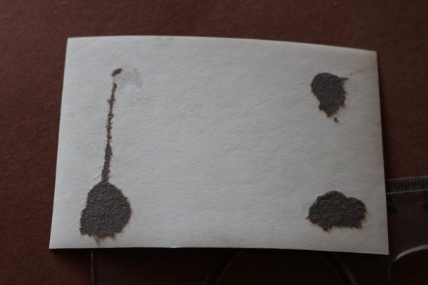 altes Foto geschändete und ermordete Frau - Flintenweib ?? Russland ?Partisanin ?